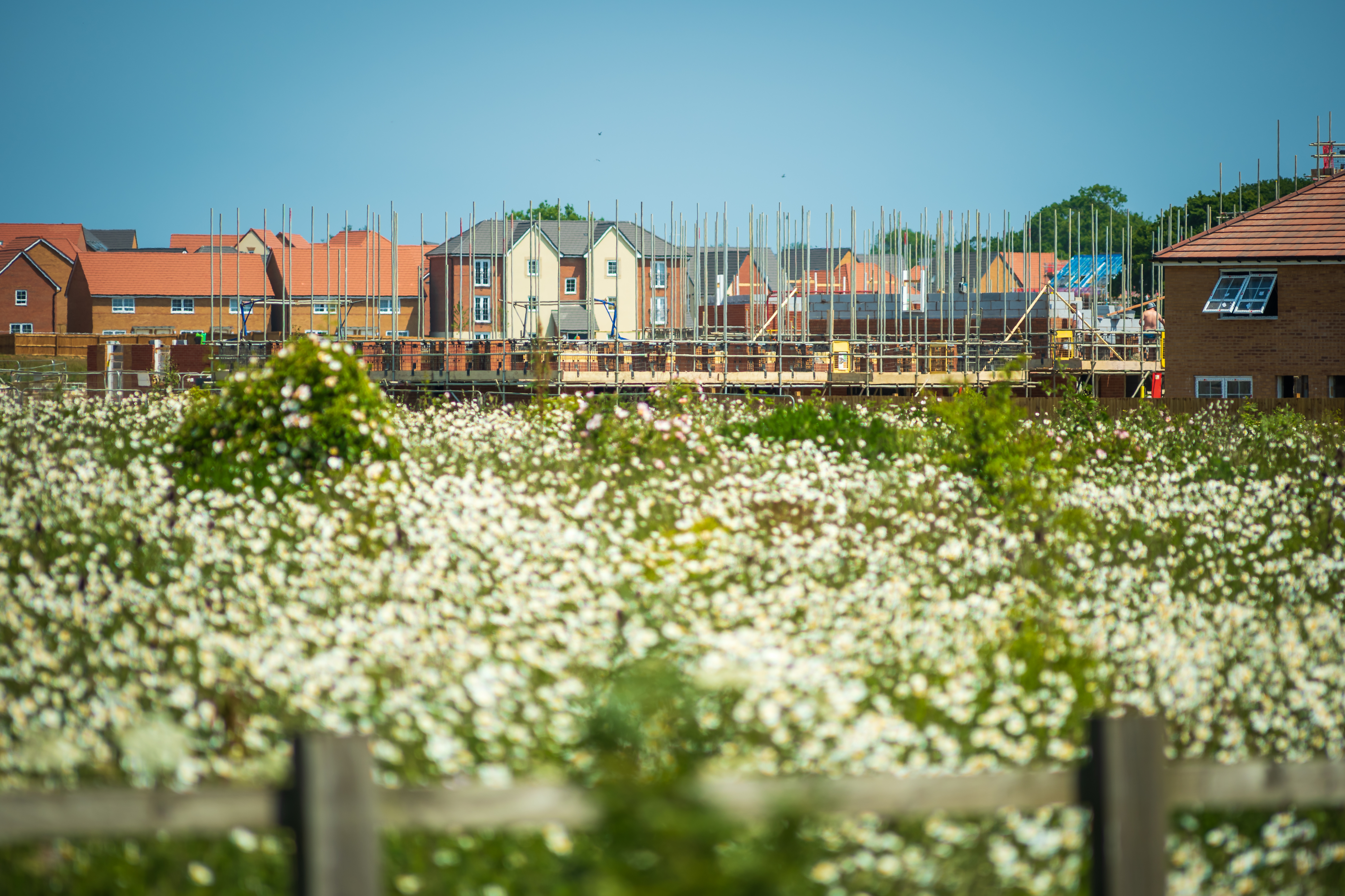 Large-scale UK housing development under construction